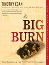 Cover image for The Big Burn